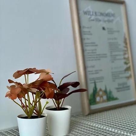 Mihome - Modern Living * روتنمان