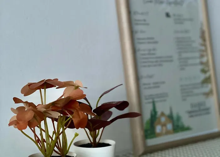 Mihome - Modern Living * 罗滕曼